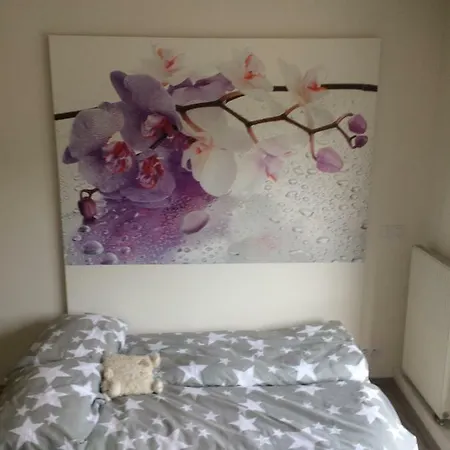 Luxury In Appartamento *